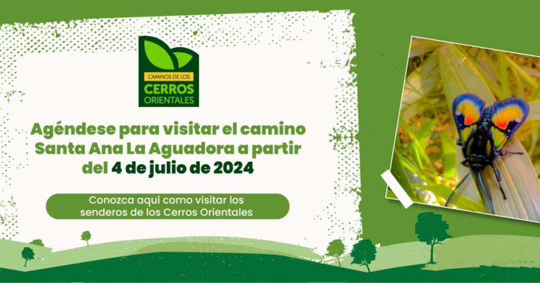 Apertura del sendero ecológico Santa Ana La Aguadora en Bogotá 