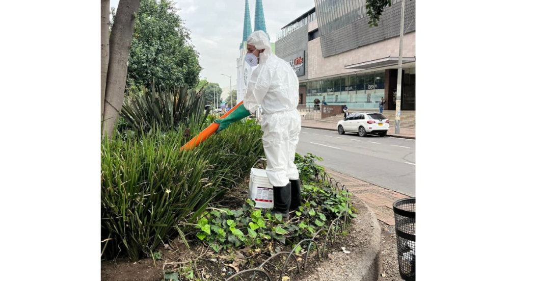 Distrito realizó operativos para controlar roedores en Bogotá 2024