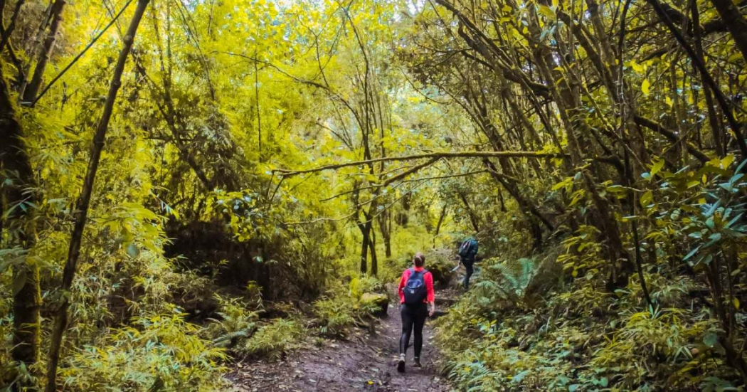 Inscripciones para visitar los senderos ecológicos de Bogotá 2024 