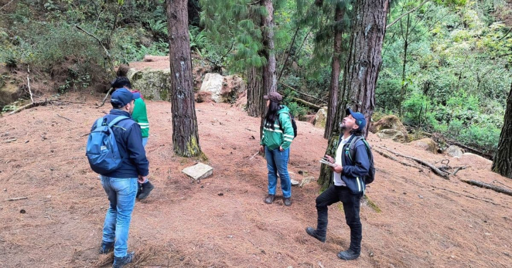 Ambiente en Bogotá: acciones del Distrito y la CAR en Cerro El Cable