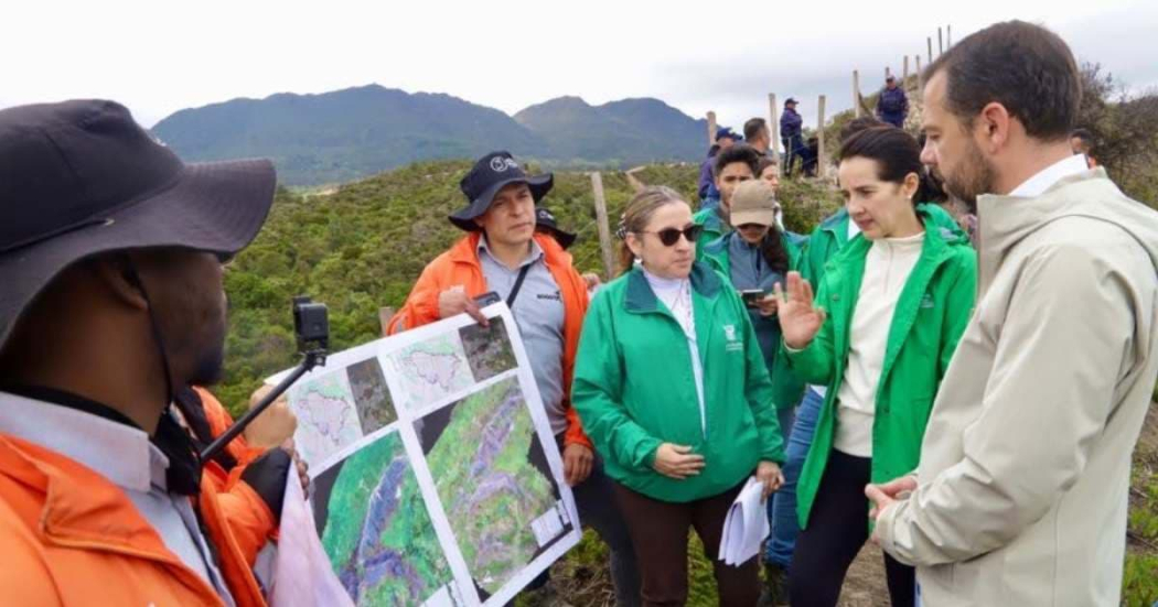 Avanza restauración Parque Entrenubes de Bogotá afectado por incendios