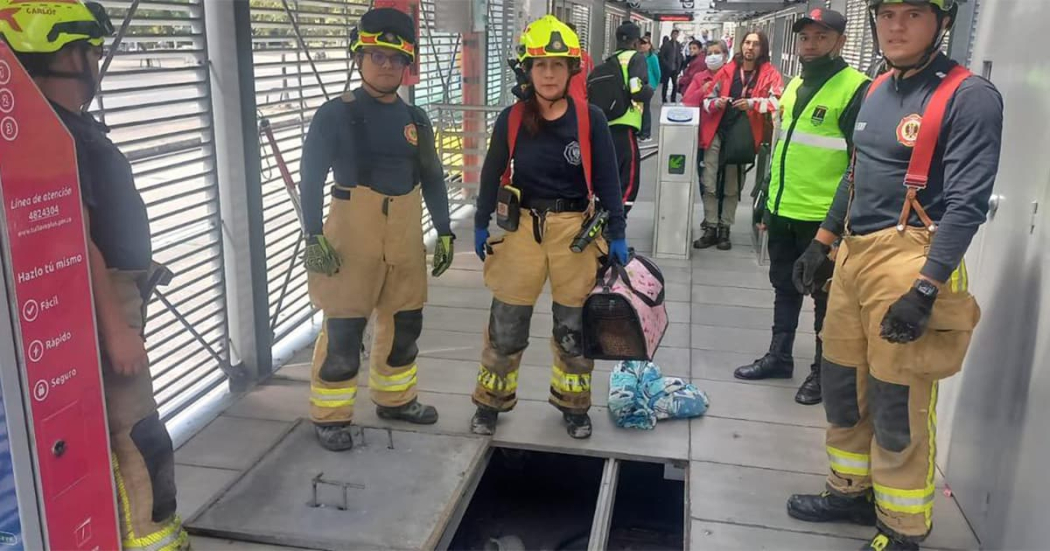 Bomberos rescató un gato atrapado en estación de TM Universidad Nacional