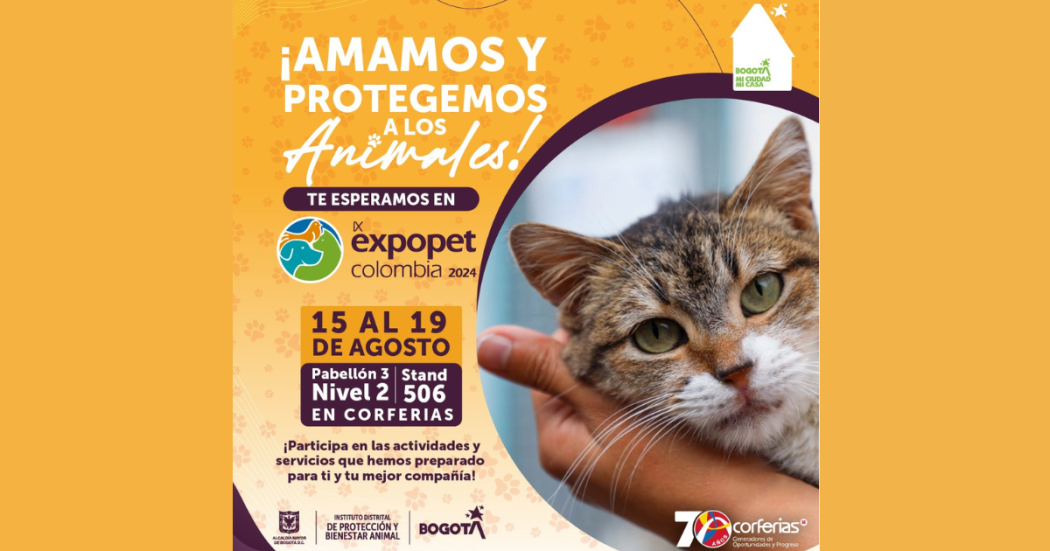 Expopet 2024: en Bogotá perros y gatos rescatados buscan un hogar 