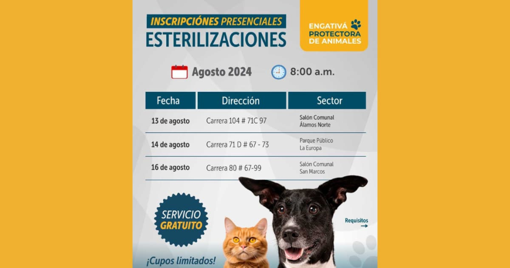 Esterilización de mascotas en Bogotá: durante agosto 2024 en Engativá