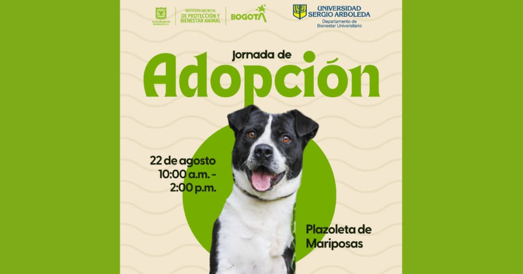 Jornada de adopción de perros en Bogotá: jueves 22 de agosto 2024