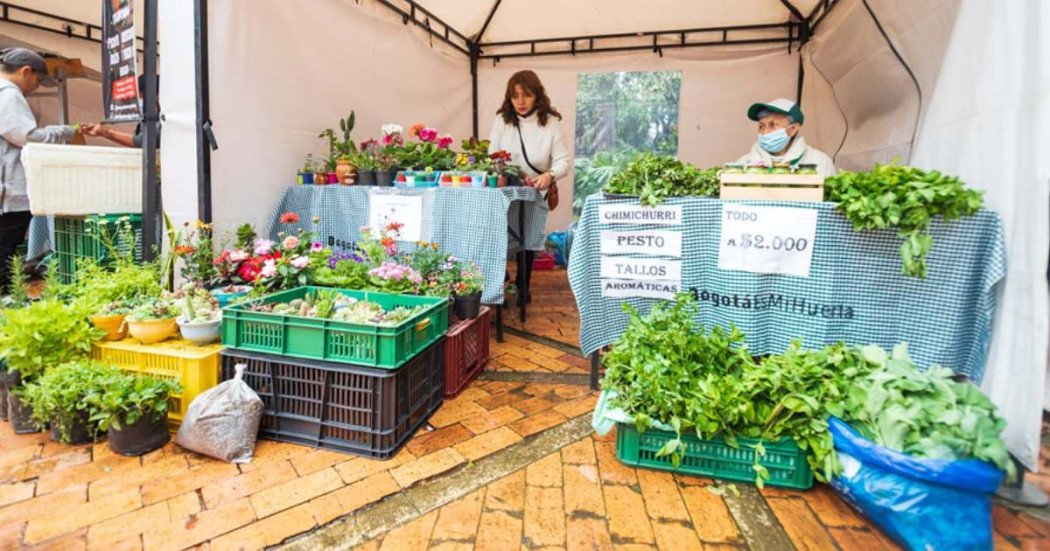 Mercado en Bogotá con los Mercados Campesinos 24 y 25 de agosto 2024