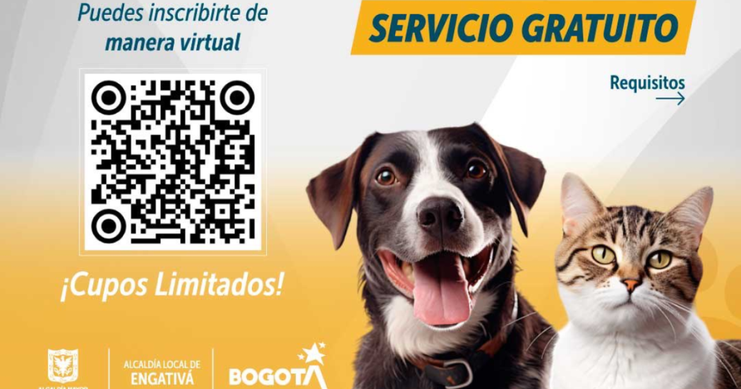  Brigadas médico veterinarias en Engativá localidad de Bogotá 