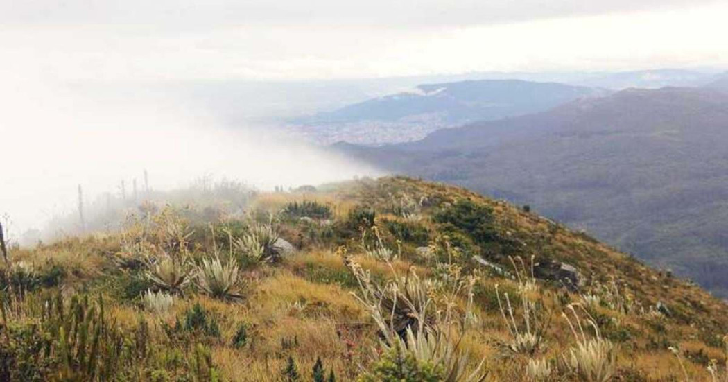 Cerros Orientales Bogotá cierre preventivo camino Guadalupe - Aguanoso