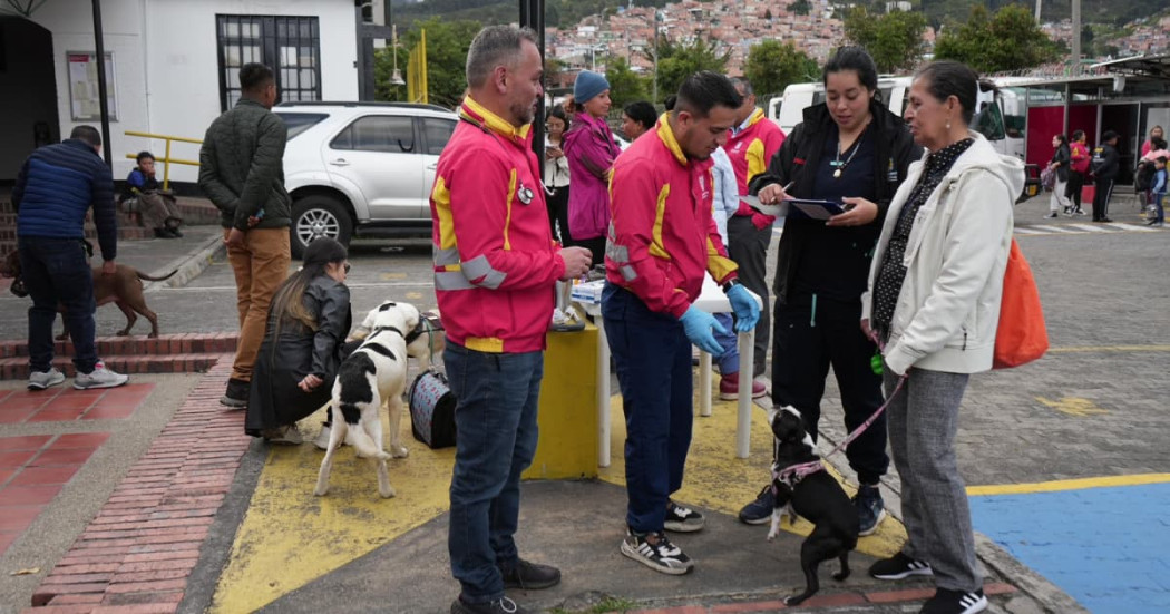 Jornadas de cuidado y protección animal en San Cristóbal 2024