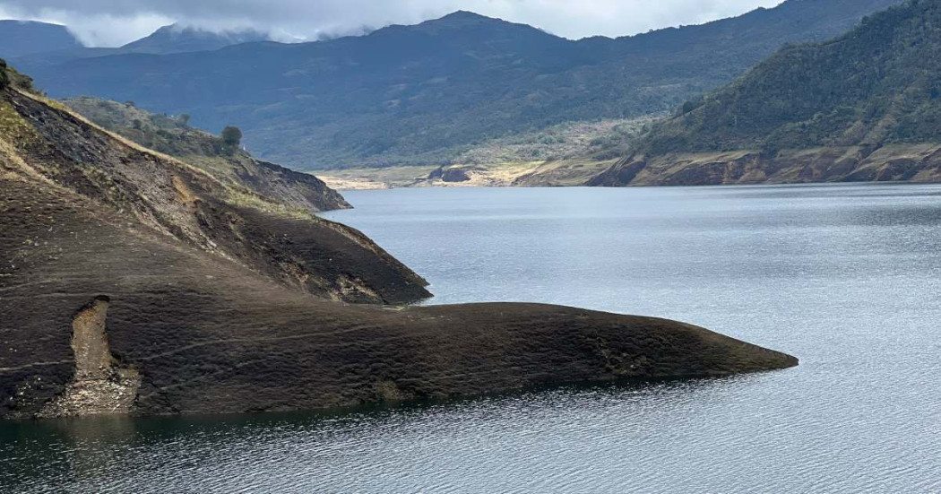 Hábitos sencillos que promueven el ahorro en el consumo del agua 