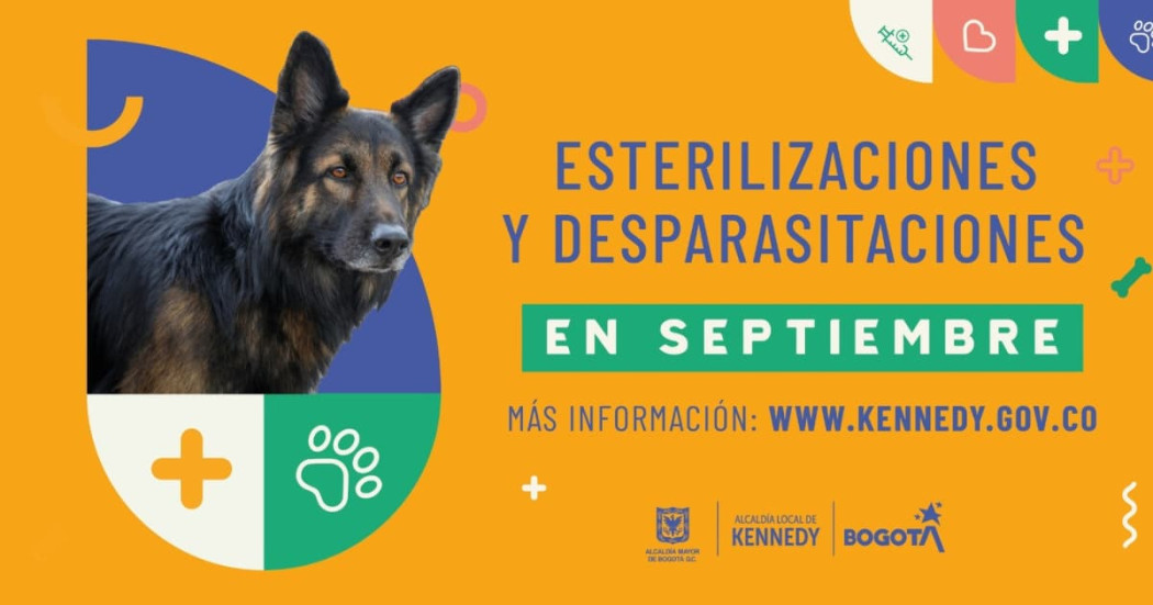 Esterilización de mascotas Bogotá: 780 cupos en Kennedy en septiembre