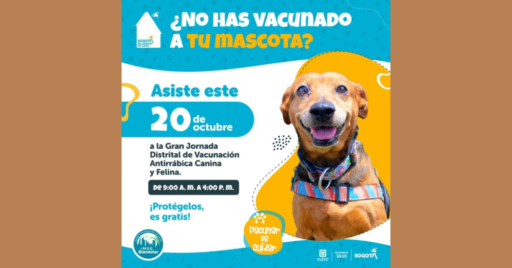 Jornada de Vacunación Antirrábica Canina y Felina en Bogotá el domingo