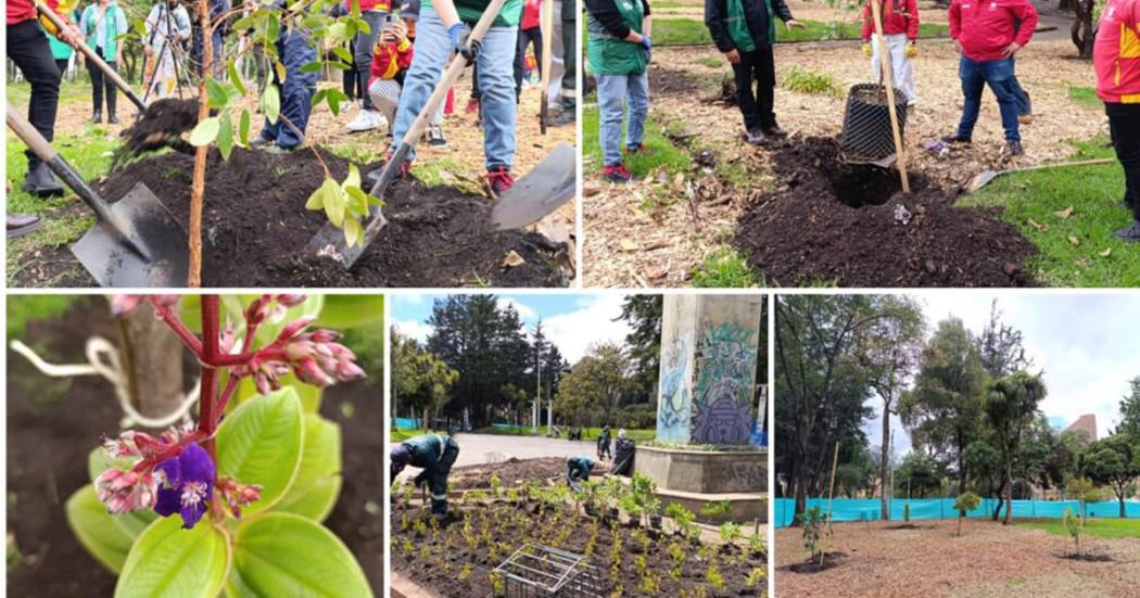 Parque Nacional de Bogotá empieza a recuperar su verde y biodiversidad