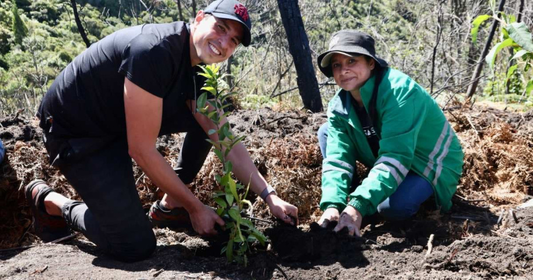 Distrito y El Tiempo restauran áreas afectadas por incendios en Bogotá