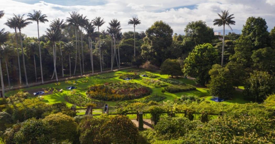 Jardín Botánico de Bogotá recibió acreditación internacional de BGCI