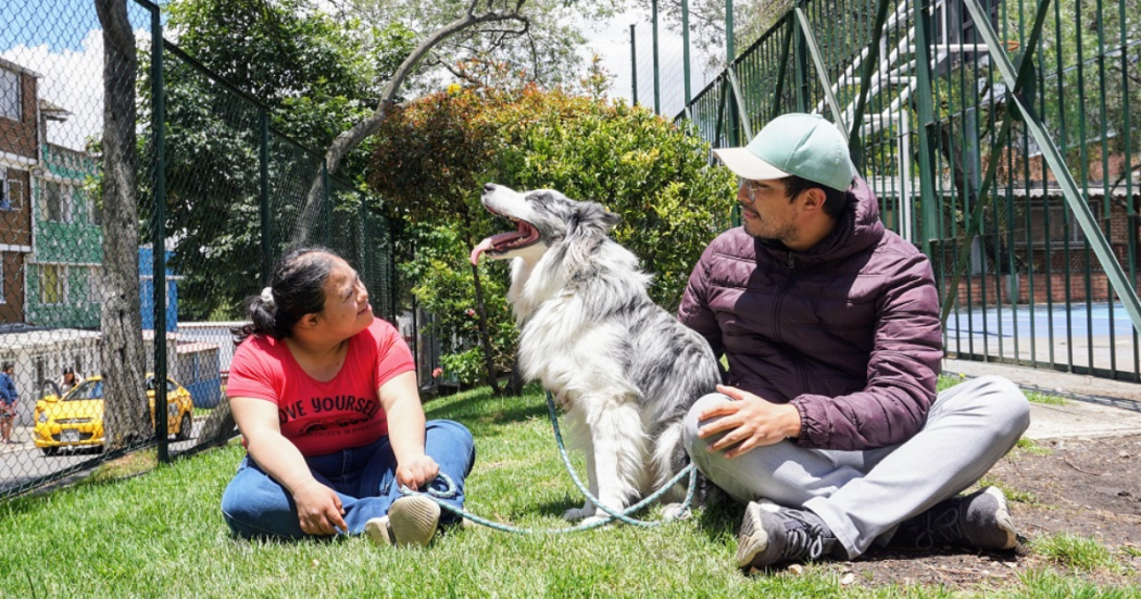 Día Internacional de las Personas con Discapacidad se conmemora Bogotá