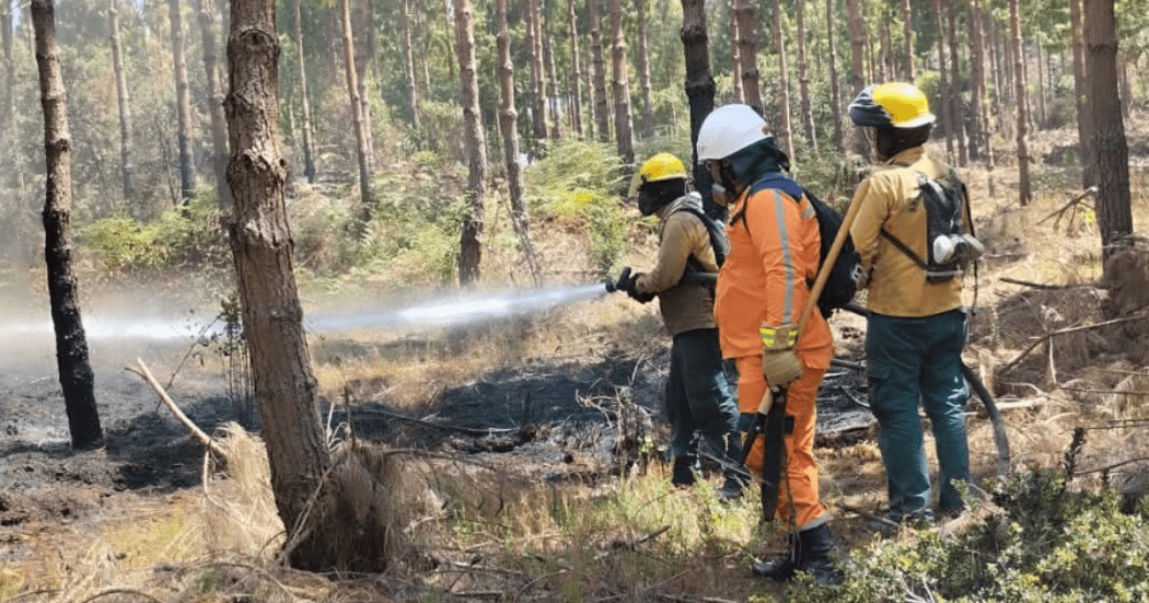 CAR y Defensa Civil se preparan para afrontar incendios forestales