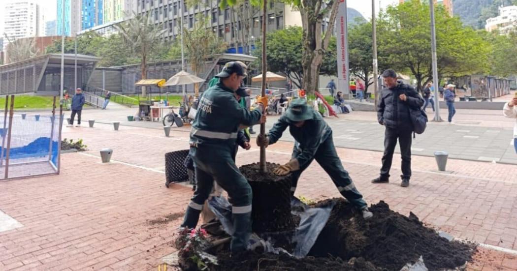 Jardín Botánico Bogotá avanza en plantación de nuevos árboles urbanos