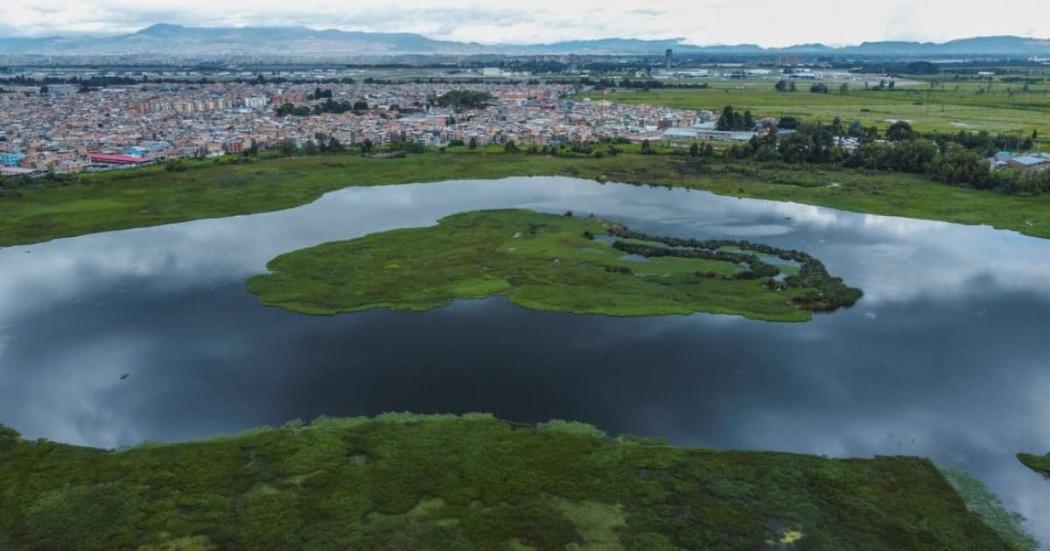 Día Mundial de los Humedales: acciones clave para su cuidado 