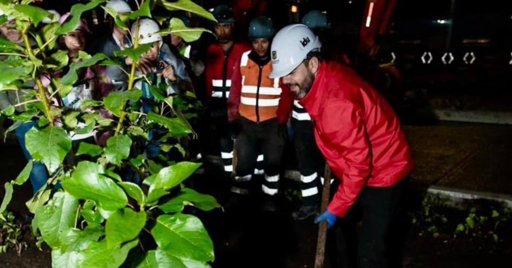 Distrito plantó árboles y jardines en obras avenida 68 con calle 26