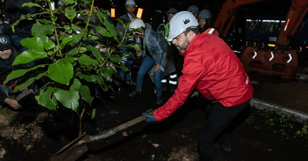 Plantación de árboles en Bogotá por la Avenida 68 en el grupo cinco