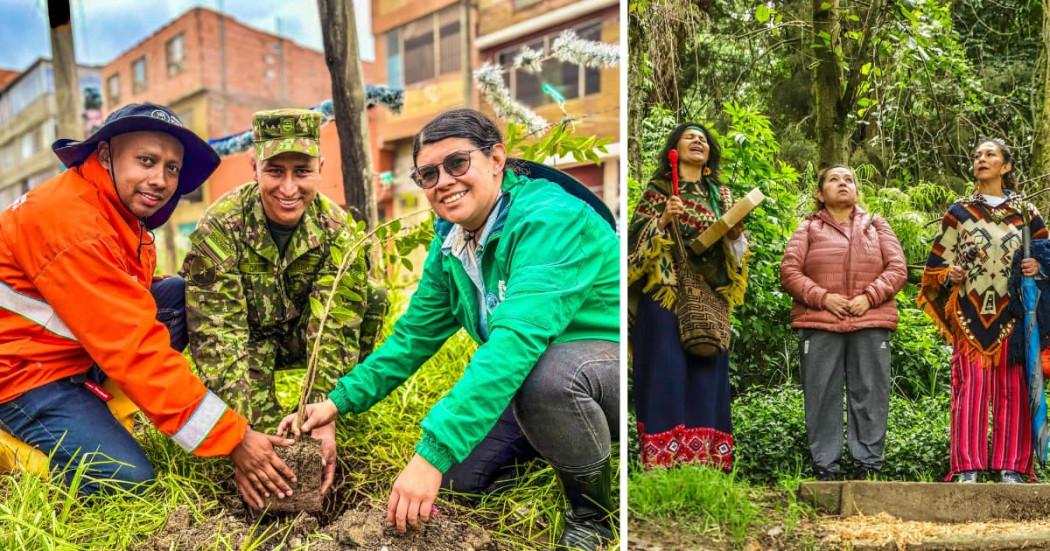 Bogotá celebró el Día Mundial del Agua 2025 con plantación de árboles