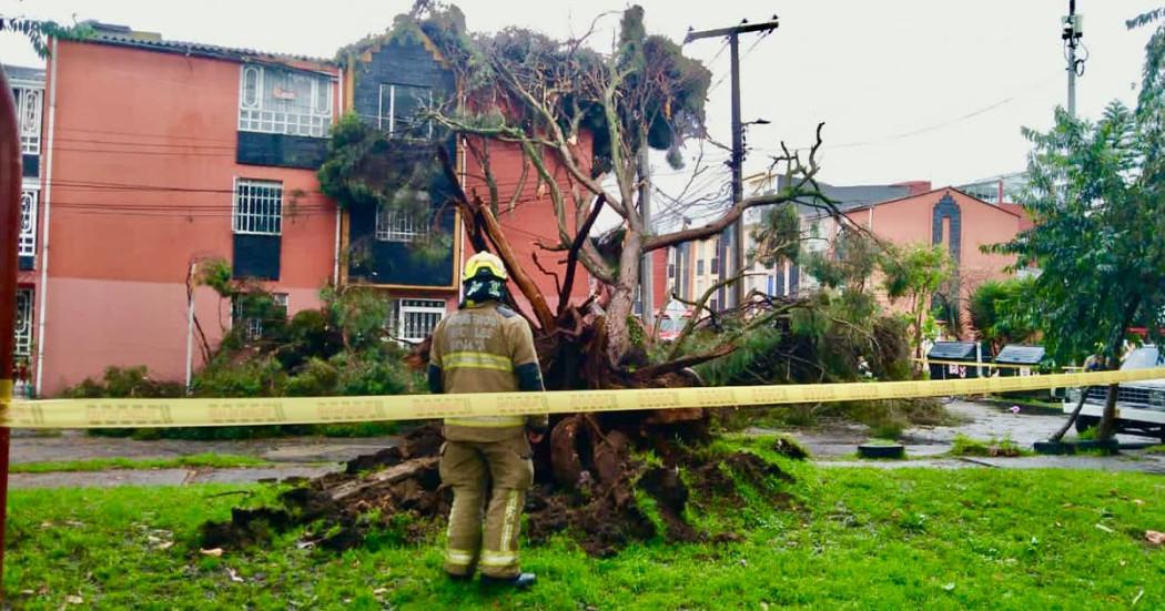 Bomberos de Bogotá atienden caída de un árbol que cayó sobre una vivienda