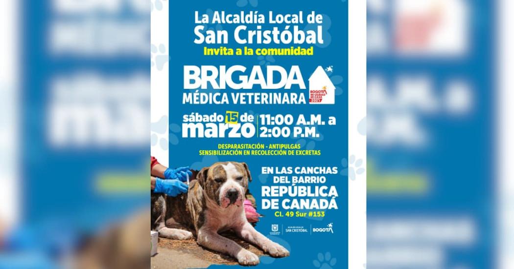 Brigada Médica Veterinaria en la localidad de San Cristóbal, Bogotá