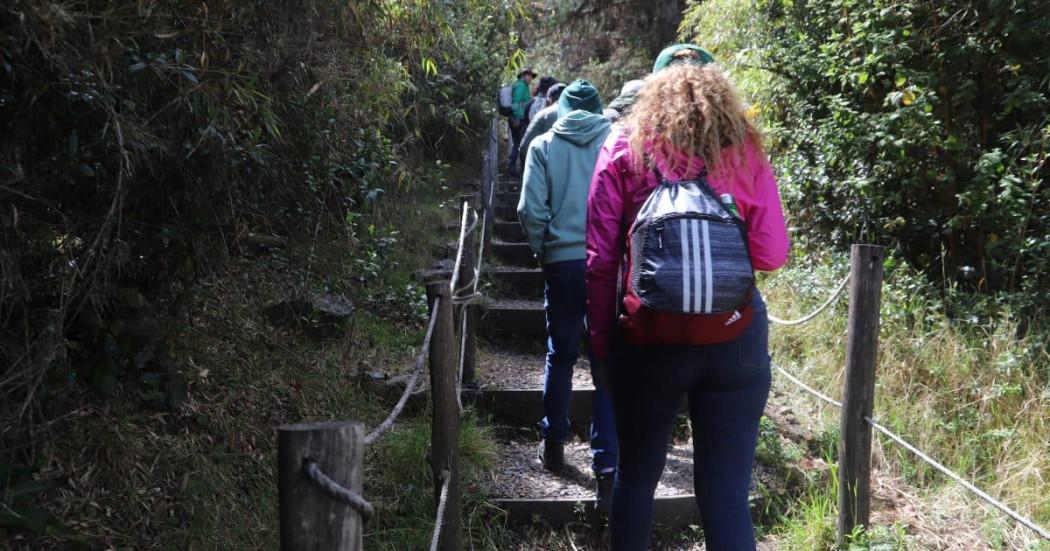 Caminata Ecológica en Bogotá Humedal Tibabuyes Suba 13 de marzo 2025