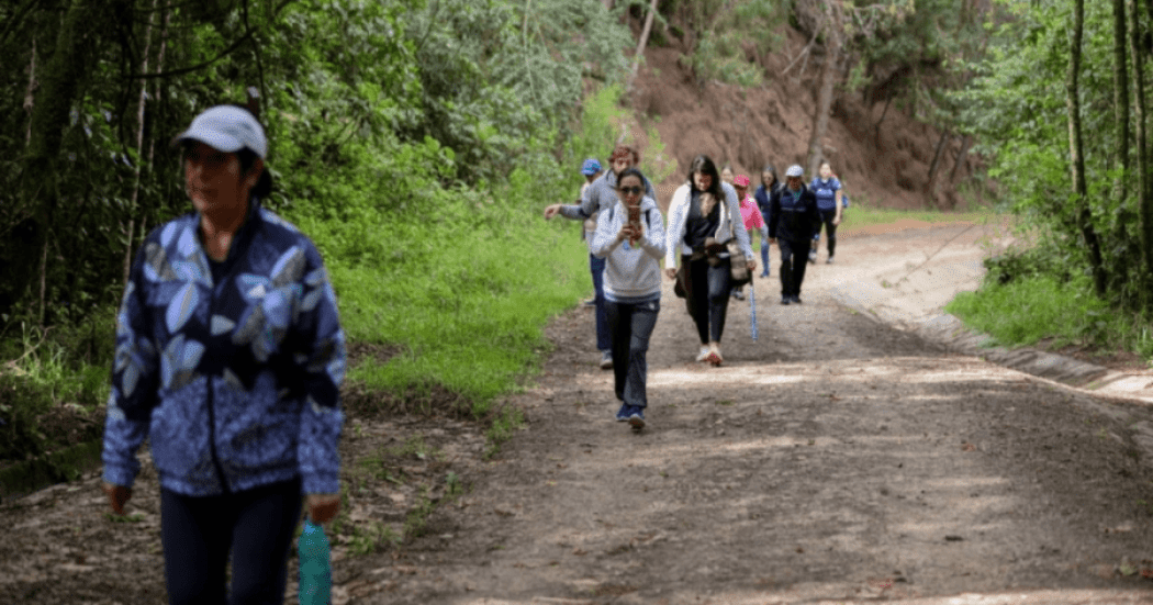 Caminata ecológica en Bogotá desde la Plaza Cultural La Santamaría