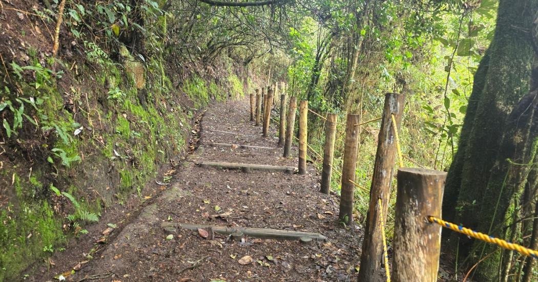 Caminatas en Bogotá agenda tu visita a caminos Cerros Orientales 2025 