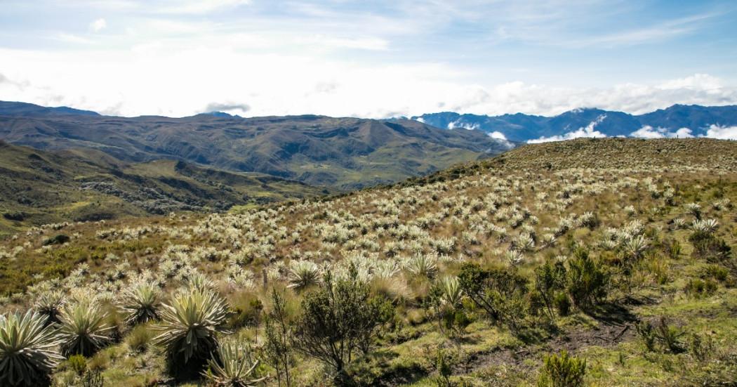 Sumapaz es la localidad más alta de Bogotá y un tesoro natural único