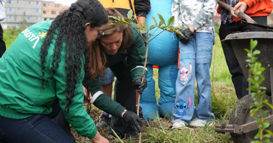 Trabajos de recuperación del Distrito en Humedal La Vaca en Kennedy 