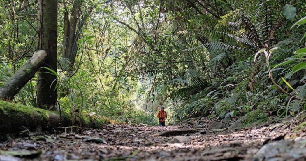 Día del Trabajo cierre senderos Cerros Orientales de Bogotá 1 de mayo
