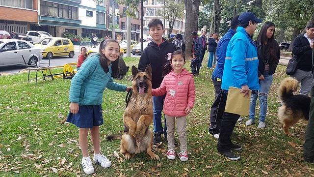 Recuerde recoger los excrementos de su mascota para evitar multas. Foto: Alcaldía de Teusaquillo.