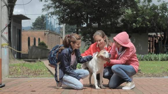 Foto: Instituto de Protección Animal