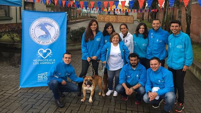 Cuidado y protección de los animales - Foto: Gerencia Distrital de Protección y Bienestar Animal