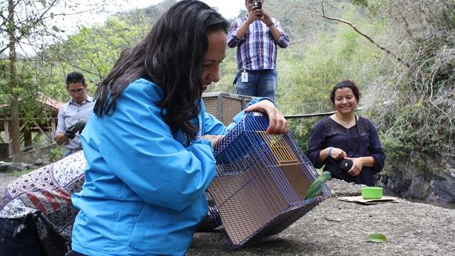 Liberación animales - Foto: Prensa Secretaría de Ambiente