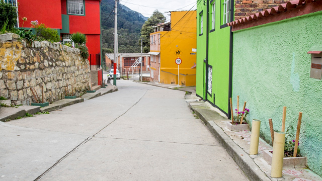 Buganvilias que adornan el barrio El Paraíso - Foto: Jardín Botánico de Bogotá