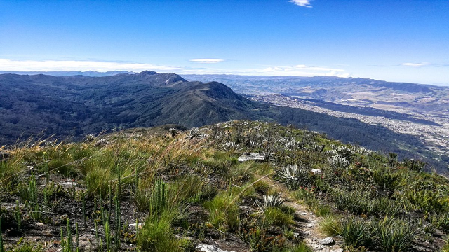 Cerros Orientales de Bogotá - Foto: Jardín Botánico 