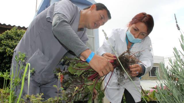 Ecoterapia - Foto: Secretaría de Salud