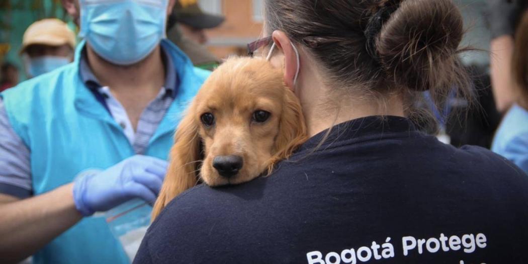 Un perro apoyado en el hombro de una mujer