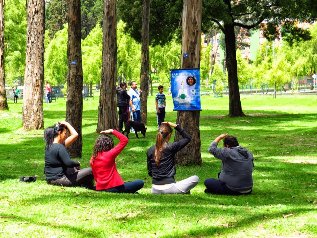 Parque Bosque de San Carlos