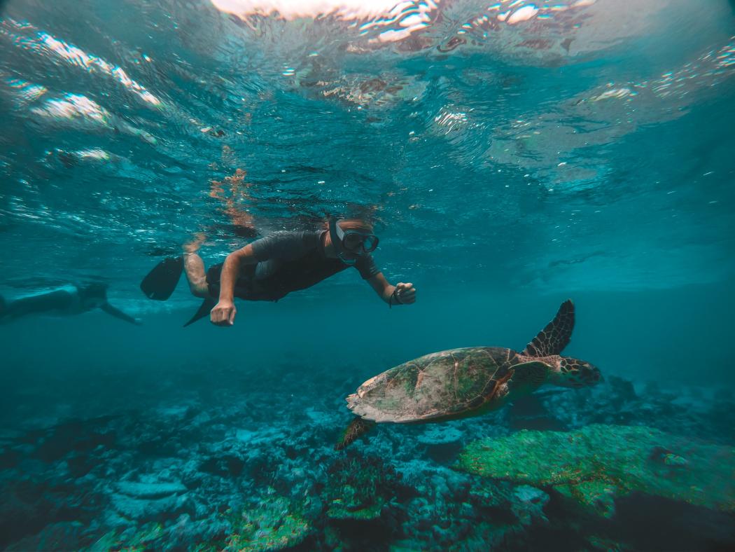 Buceo de verano en el Festival de Verano 