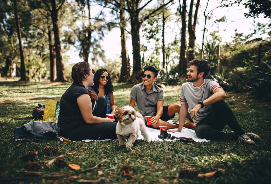 Celebra la semana de la juventud en el Festival de Verano 