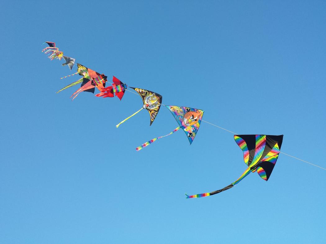 Festival nacional de cometas en el cielo 