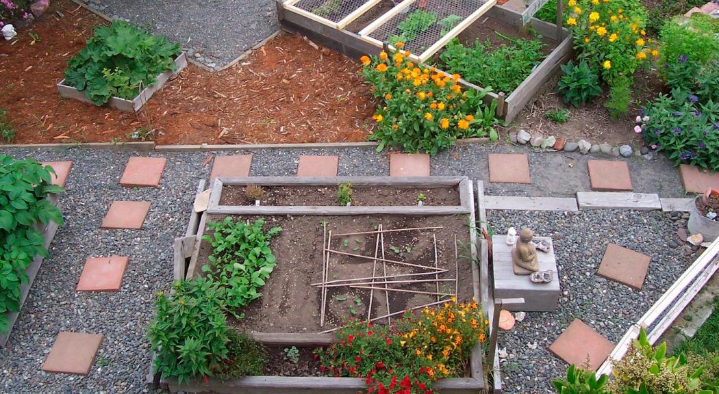 cursos de agricultura urbana en el Jardín Botánico