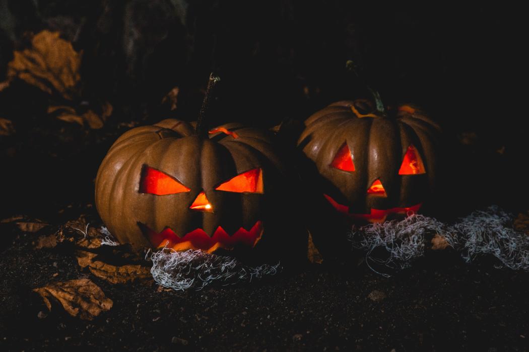 Llega la quinta edición del Festival del Terror en Salitre Mágico