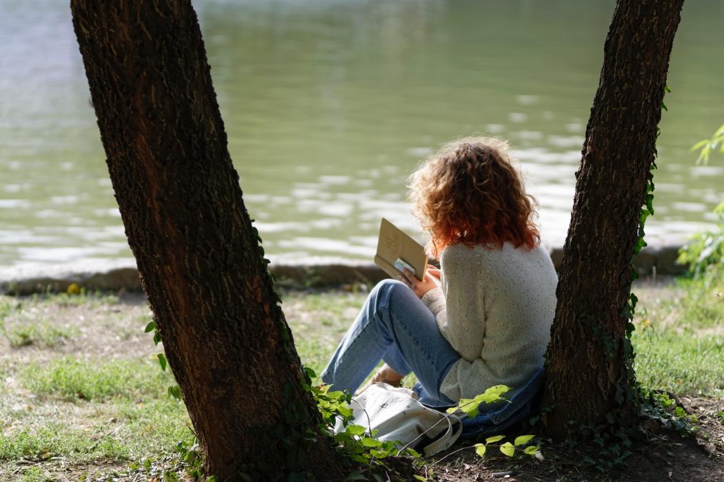 Llega el último Pícnic Literario del año