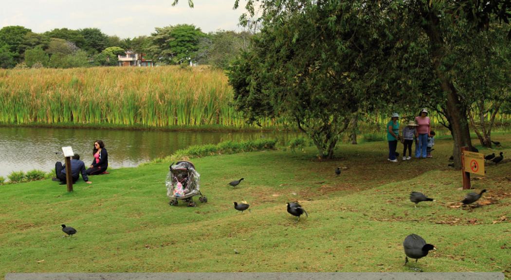 Exposición fotográfica gratis en el Jardín Botánico